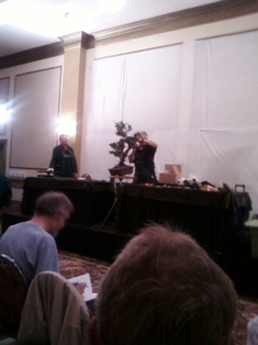 GSBS Annual Bonsai Show 2010 exhibit #13, Great Swamp Bonsai Society Roseland New Jersey